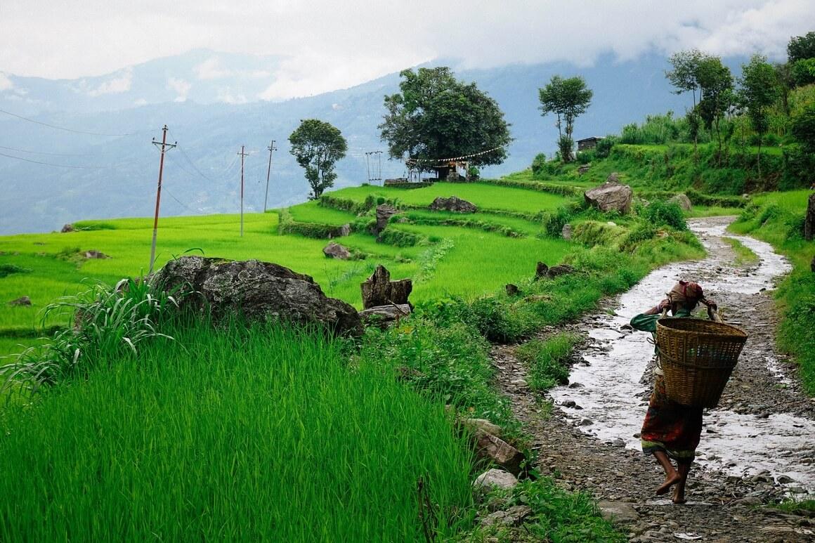 Népal - concours photo Chaire Unesco Alimentation du Monde 2021 © Emeline Ferrari